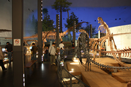 県立恐竜博物館の中を見学